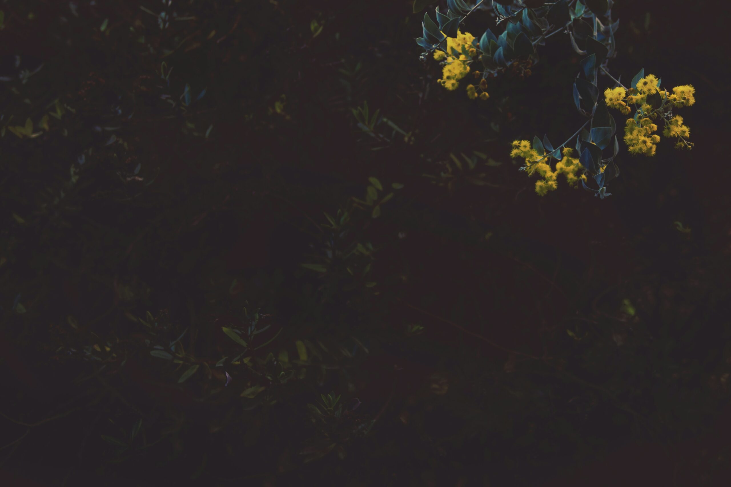 The Impact of Stimulants on Creativity
