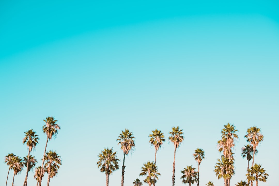 Digital Nomad Jobs for Beginners: Zero Experience Required